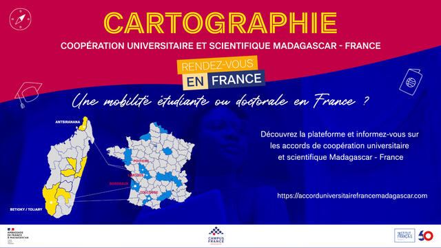 Découvrez la plateforme web ! 