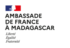 Logo - Ambassade de France